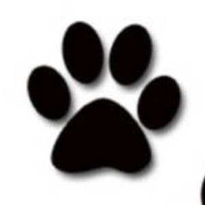 Meet your Posher, Kaylee